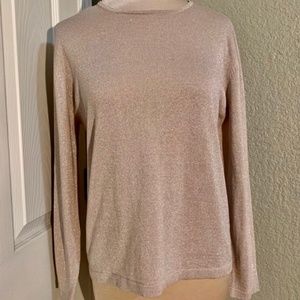 CLOSING SALE! Sparkly Silk Blush Colored Crew Neck